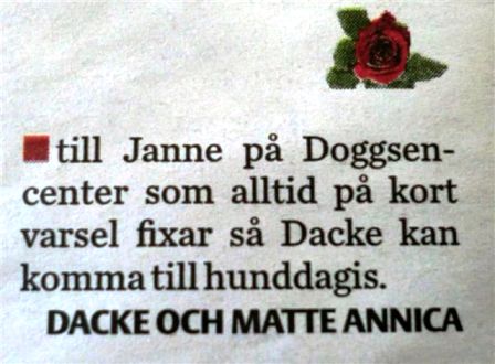 Dagens Ros 5