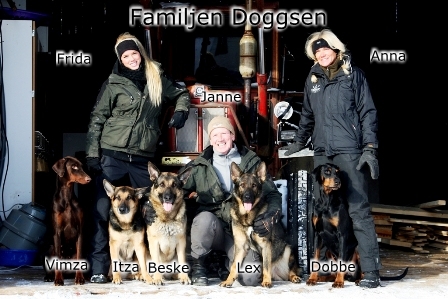 Doggsen