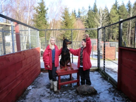 Irma och Isabelle