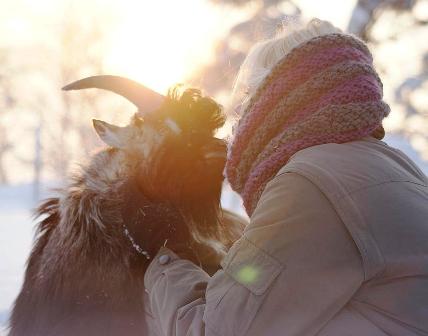 Anna och Mister Bo