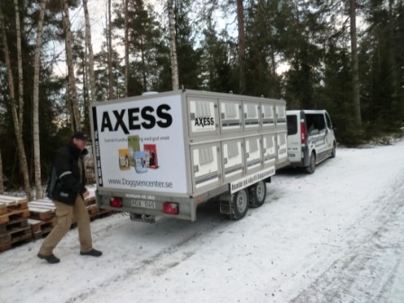 Hundar på väg till Norrköping