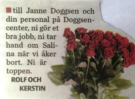 dagens ros igen