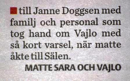 Dagens ros.