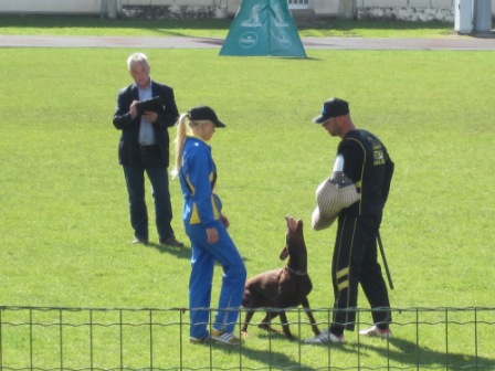 images/2VM2013.JPG