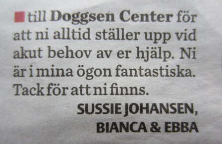 images/Dagens%20Ros%208.JPG
