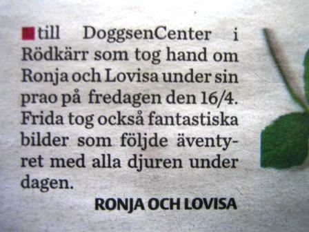 images/Dagens%20ros.jpg