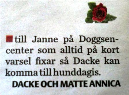 images/Dagens_Ros_5.jpg