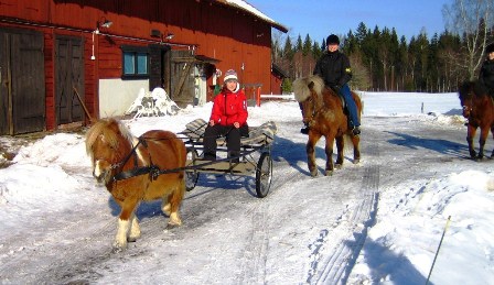 images/Djurhuspersonal%20.JPG