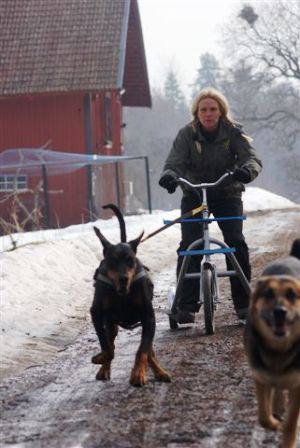 images/Dobbe_och_Itza.jpg
