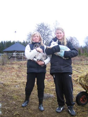 images/Lovisa%20o%20Ronja.JPG