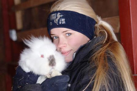 images/Ovriga%20sallskapsdjur.JPG