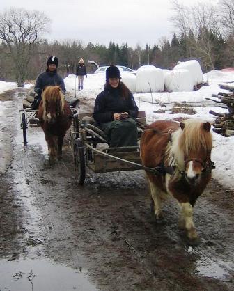 images/Ponnykuskar.JPG