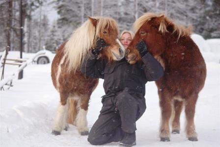images/Shettisarna.jpg