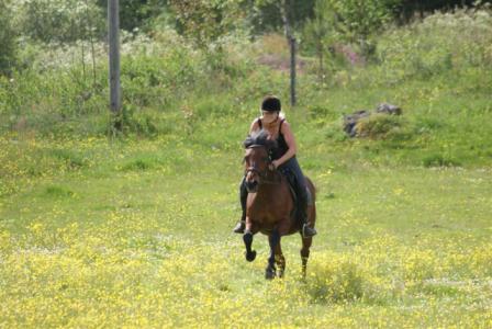 images/Sommarrace.JPG