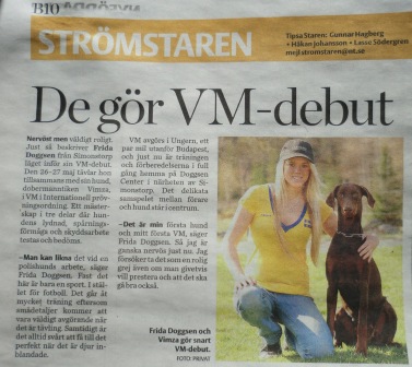 images/VM.JPG