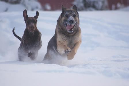 images/Vimza%20och%20Beske.jpg