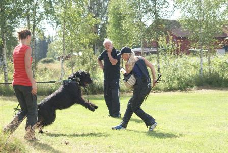 images/Zeus.JPG