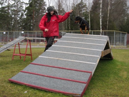 images/agility.JPG