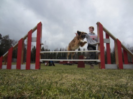 images/agility1.JPG