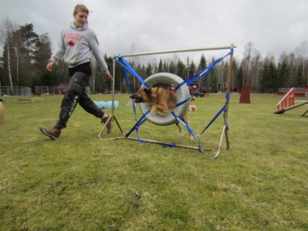 images/agility2.JPG