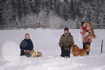 images/dogs.JPG