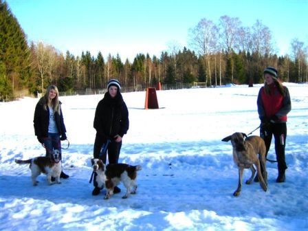 images/hundpromenad.jpg