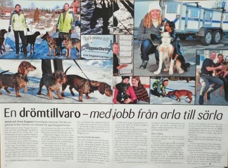 images/hundsport.JPG