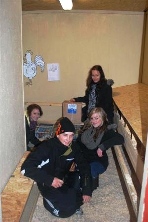 images/projekt.JPG