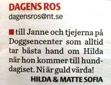images/rosen.JPG