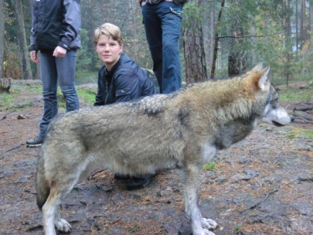 images/vargar5.JPG