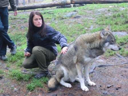 images/vargar8.JPG